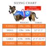 Dog Reflective Vest S Size Multiple Color Options with Hi Vis Fluorescent Visibility Helping to Safeguard Your Pet On Off Leash in Urban & Rural Areas
